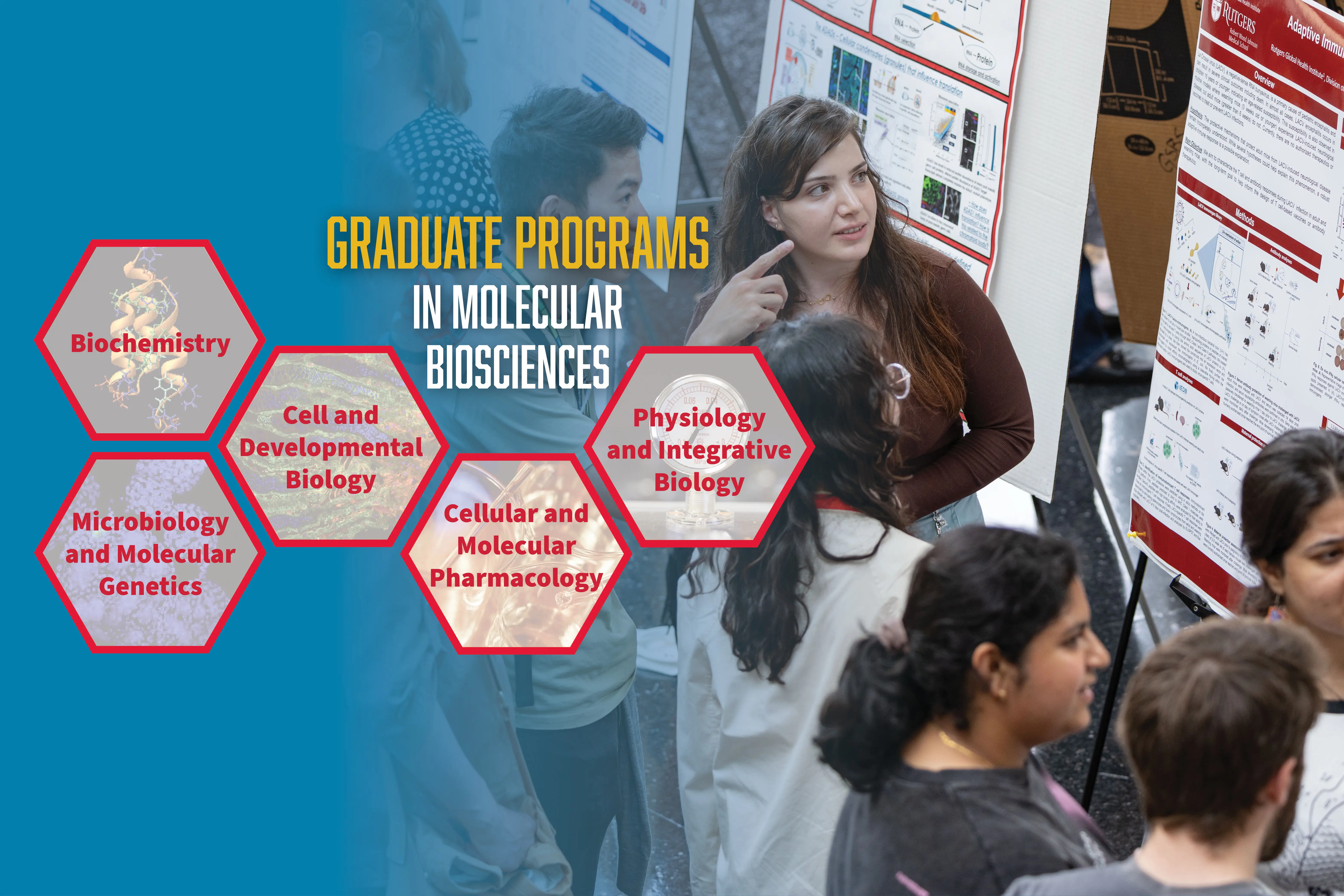Graduate Programs in Molecular Biosciences: Biochemistry, Genetics, Cell and Developmental Biology, Pharmacology, Physiology, Structural and Computational Biology