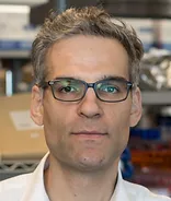Nicholas Stavropoulos