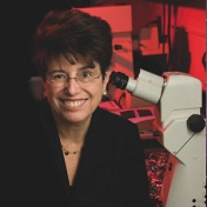Dreyfus, Cheryl