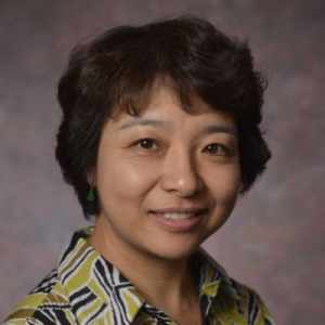Di, Rong