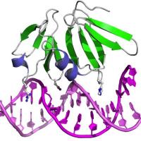 Biochemistry