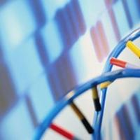 Microbiology & Molecular Genetics