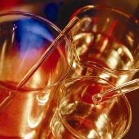 Cellular & Molecular Pharmacology